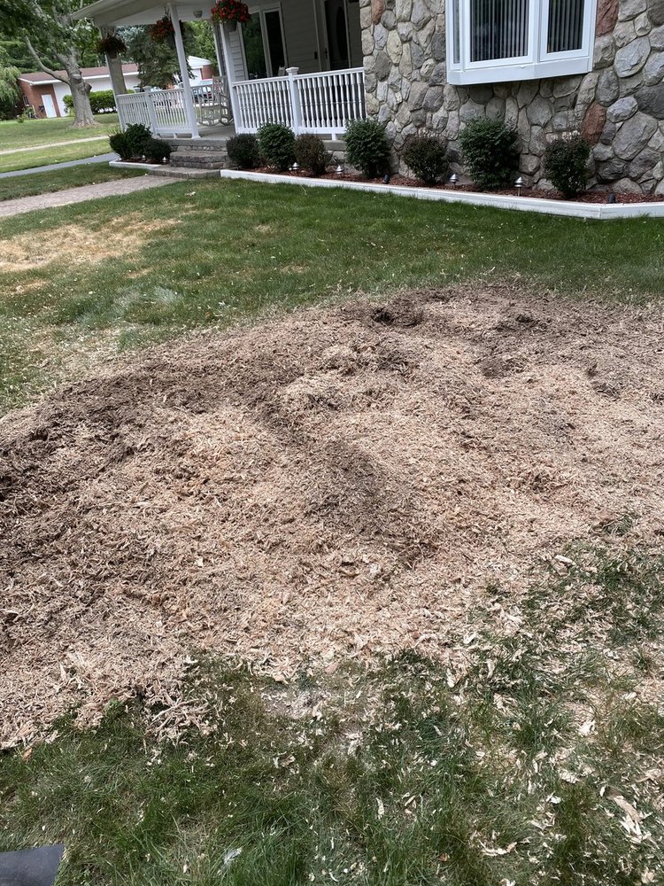Residential front yard stump removal