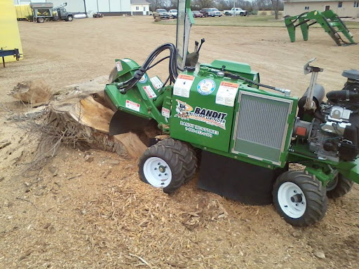 During - Stump grinding in action